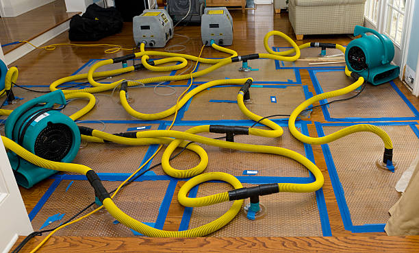 Professional Storm Water Damage Restoration technician working in Livonia, MI